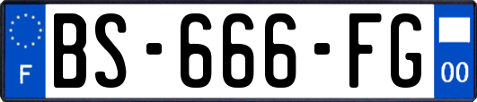 BS-666-FG
