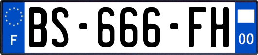 BS-666-FH