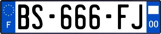 BS-666-FJ