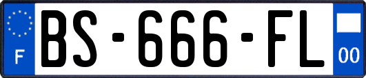 BS-666-FL