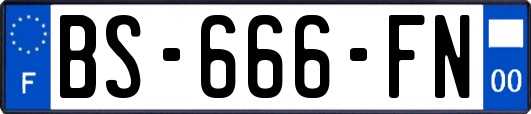 BS-666-FN