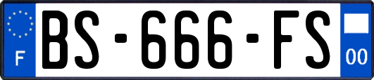 BS-666-FS