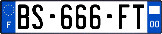 BS-666-FT
