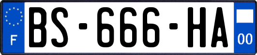 BS-666-HA