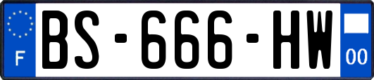 BS-666-HW