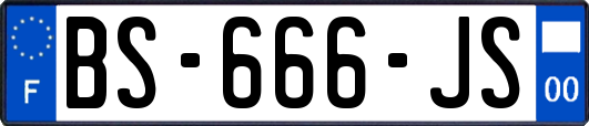 BS-666-JS