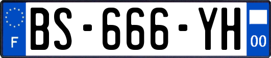 BS-666-YH