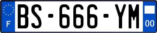 BS-666-YM