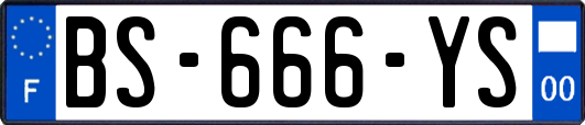 BS-666-YS