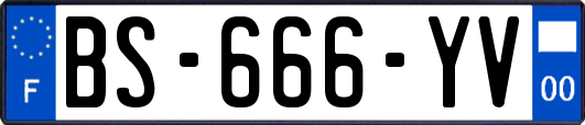 BS-666-YV