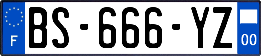 BS-666-YZ