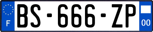 BS-666-ZP