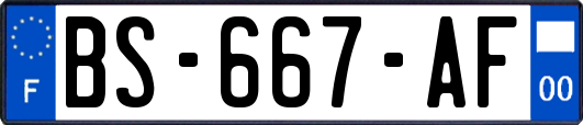 BS-667-AF