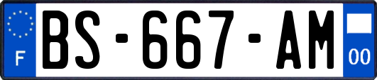 BS-667-AM