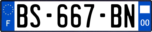 BS-667-BN