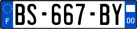 BS-667-BY