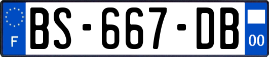 BS-667-DB