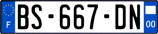 BS-667-DN