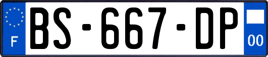 BS-667-DP