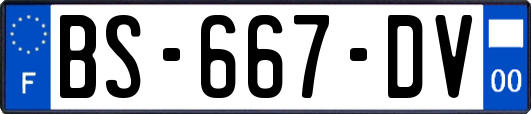 BS-667-DV