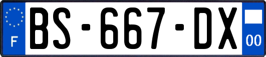 BS-667-DX