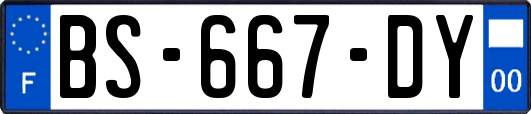 BS-667-DY