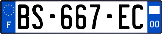 BS-667-EC
