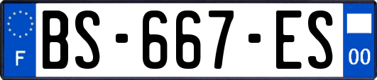 BS-667-ES