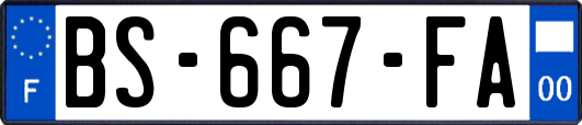 BS-667-FA