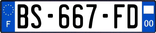 BS-667-FD