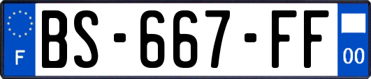 BS-667-FF
