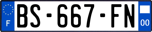 BS-667-FN