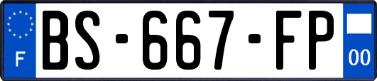 BS-667-FP