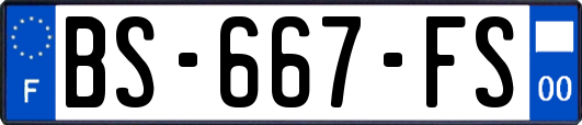 BS-667-FS