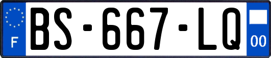 BS-667-LQ