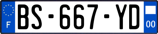 BS-667-YD