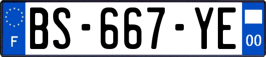 BS-667-YE
