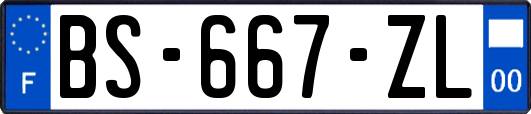 BS-667-ZL