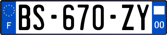 BS-670-ZY