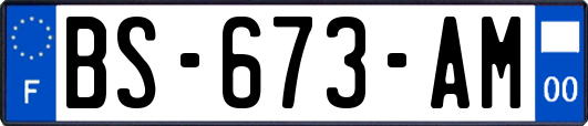 BS-673-AM