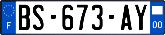 BS-673-AY