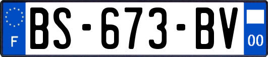 BS-673-BV