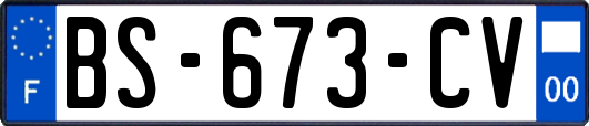 BS-673-CV