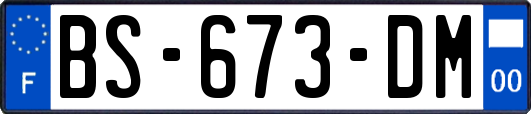 BS-673-DM