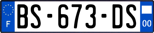 BS-673-DS