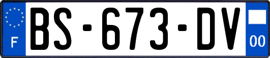 BS-673-DV