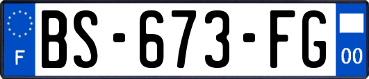 BS-673-FG