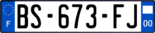 BS-673-FJ