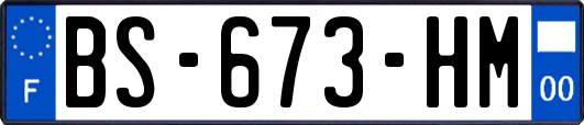 BS-673-HM