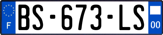 BS-673-LS